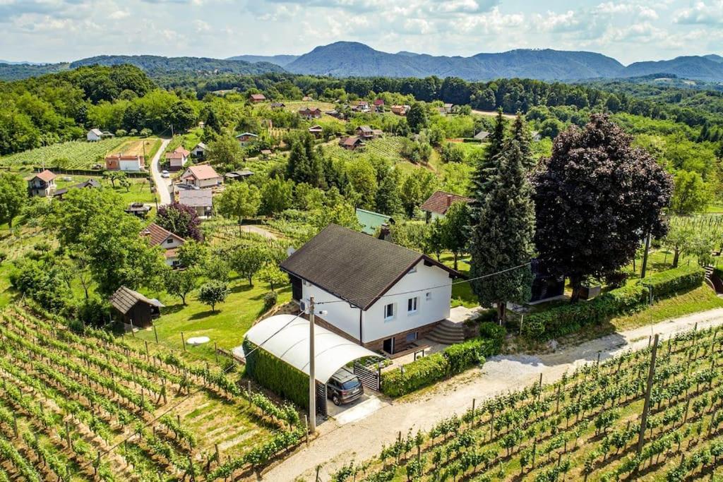 Villa La Mia Storia à Beretinec Extérieur photo